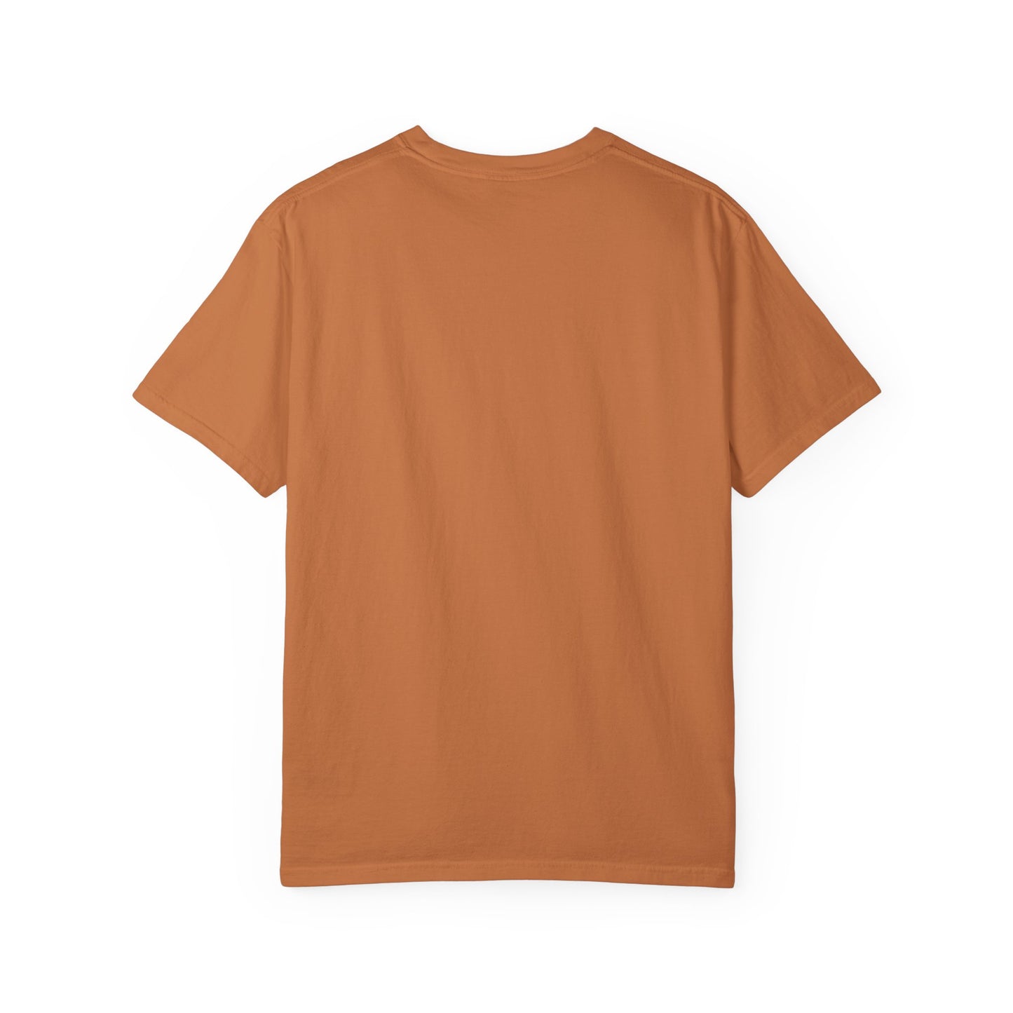 Silly Goose Jail shirt Funny T-shirt for men or women