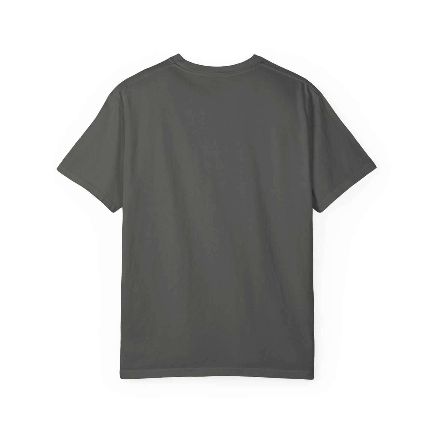 Silly Goose Jail shirt Funny T-shirt for men or women