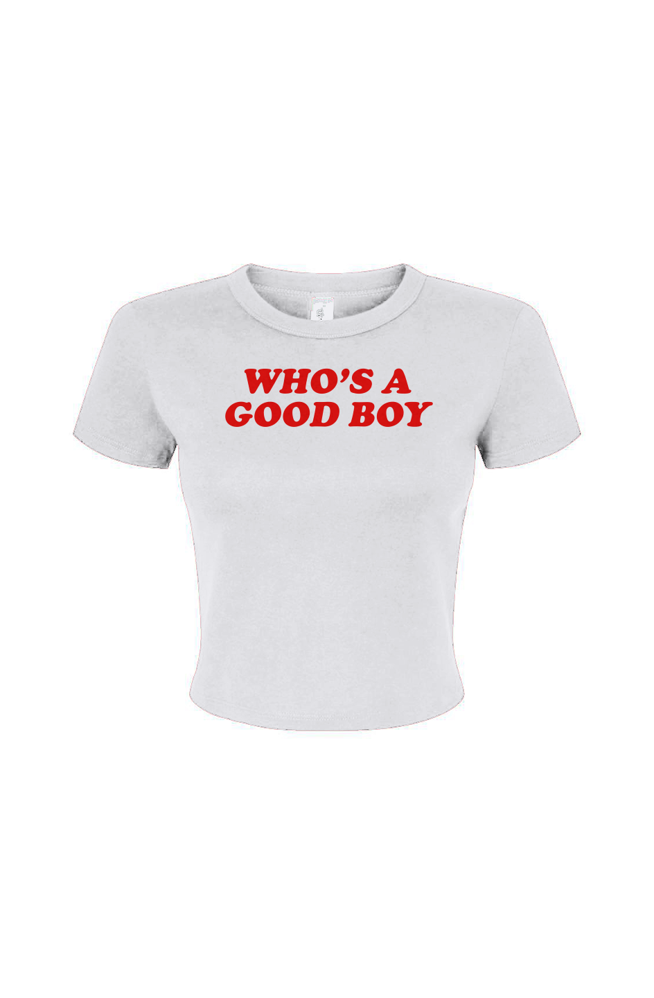 Who's a Good Boy Women's Micro Rib Baby Tee