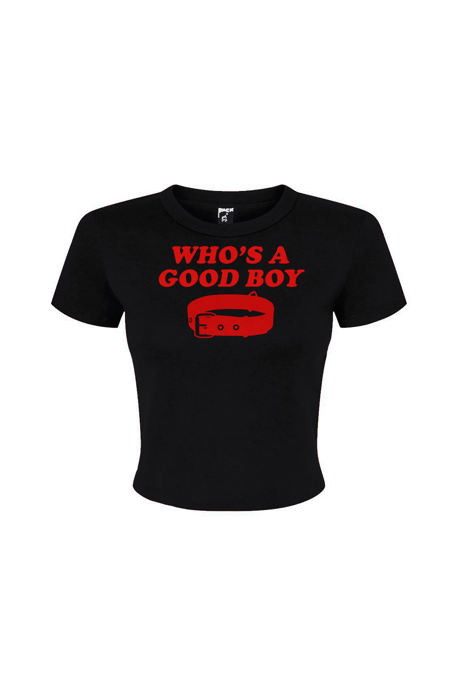 Whos a Good Boy Women's Micro Rib Baby Tee