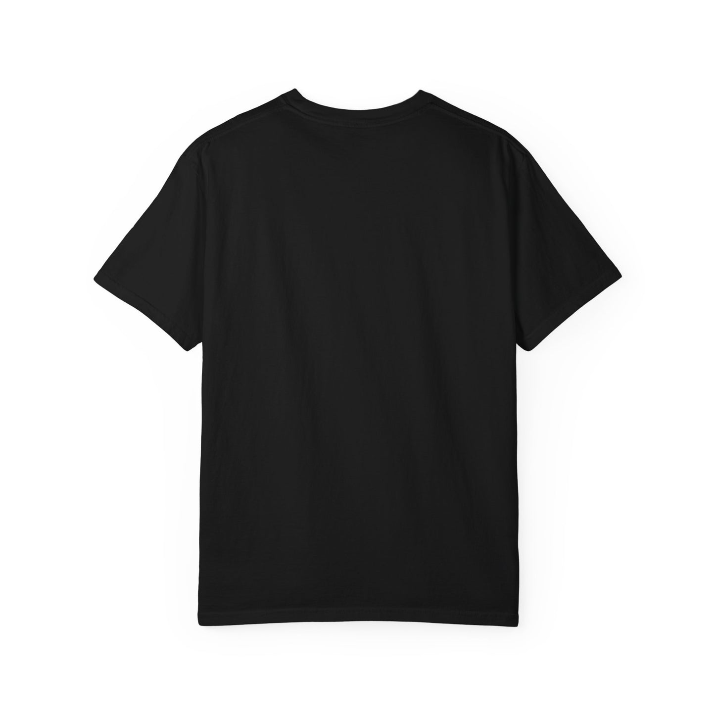 Silly Goose Jail shirt Funny T-shirt for men or women